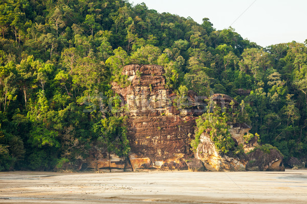 Lush jungle and big cliff near sand beach Stock photo © Juhku