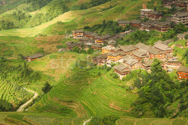 Landscape rice terraces and village in china Stock photo © Juhku