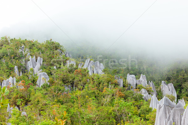 Calcare parco formazione borneo Malaysia foresta Foto d'archivio © Juhku