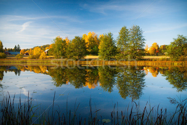 Foto stock: Agua · otono · naturaleza · reflexión · Finlandia