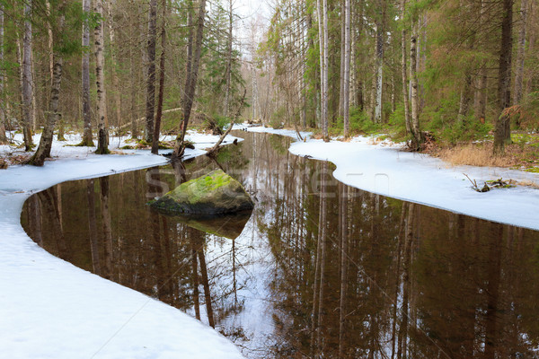 部分 凍結 森林 河 春天 芬蘭 商業照片 © Juhku