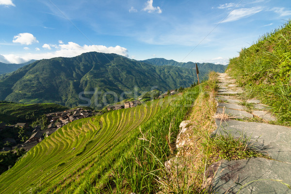 Longsheng rice terraces guilin china landscape Stock photo © Juhku
