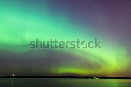 északi fények aurora tájkép fa éjszaka Stock fotó © Juhku