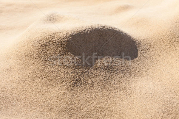 Beautiful old stone patterns Stock photo © Juhku