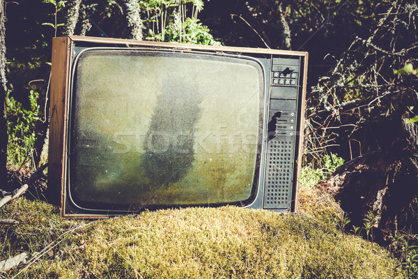Stock fotó: öreg · analóg · televízió · erdő · elhagyatott · fű