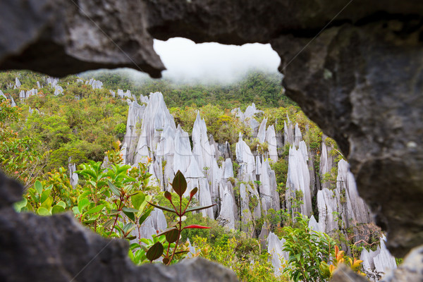 Calcaire parc formation bornéo Malaisie forêt [[stock_photo]] © Juhku