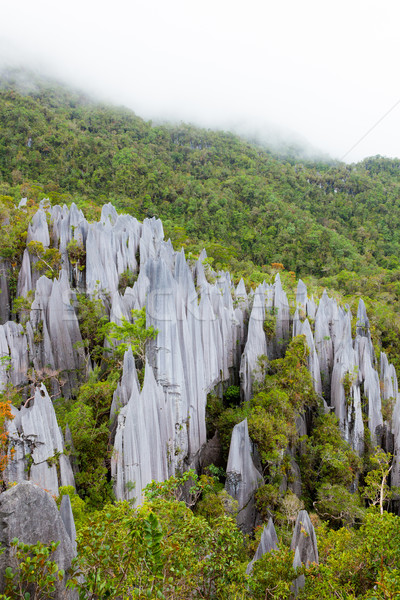 Calcaire parc formation bornéo Malaisie forêt [[stock_photo]] © Juhku