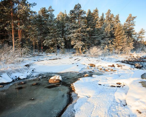 Lakeside landscape at winter morning Stock photo © Juhku