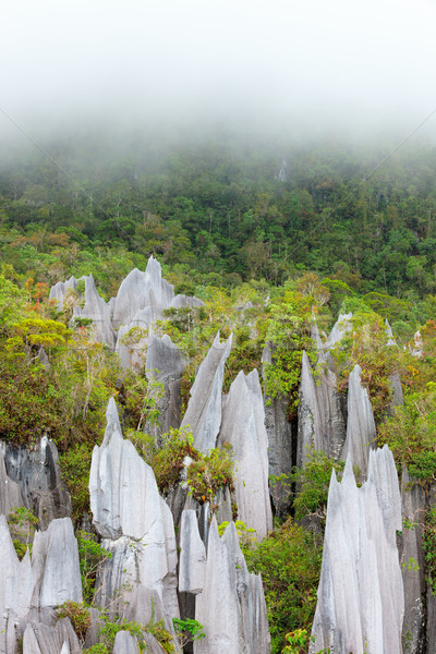 Piatra de var parc formare borneo Malaezia pădure Imagine de stoc © Juhku