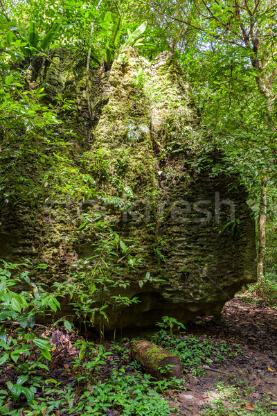 Kamień Rainforest bujny lasu charakter rock Zdjęcia stock © Juhku