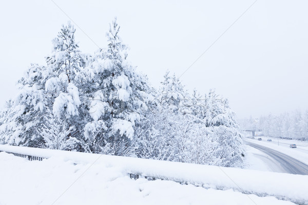 Stock photo: Snow landscape and road