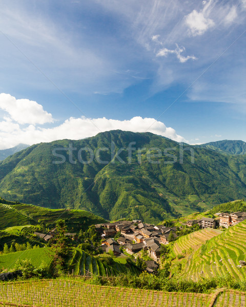 Stock photo: Landscape photo of rice terraces in china