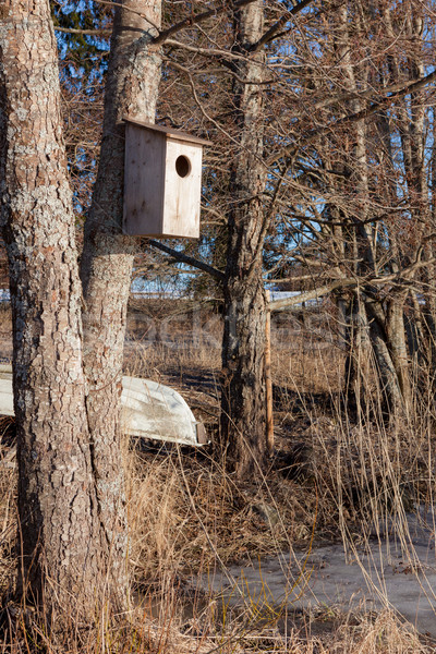 Waterfowl birdhouse on tree Stock photo © Juhku