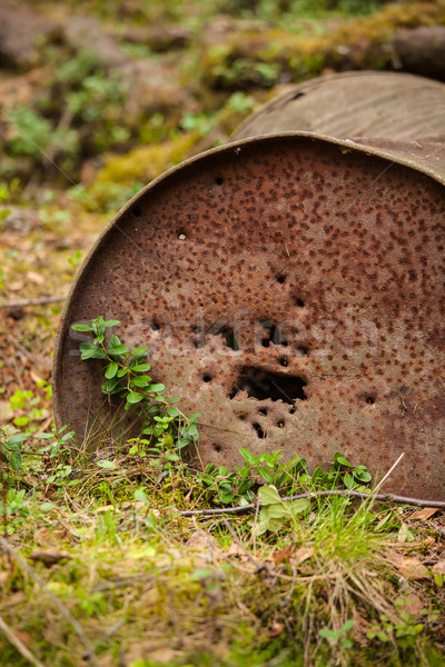 Rusty oil barrel in nature closeup Stock photo © Juhku