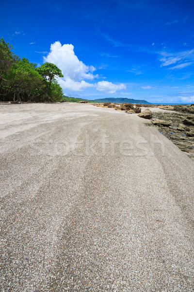 Praia tropical Costa Rica floresta natureza árvores Foto stock © Juhku
