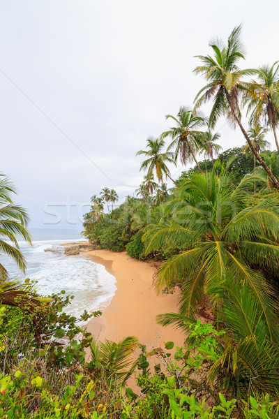 Idyllic Beach Manzanillo Costa Rica Stock Photo Juhani