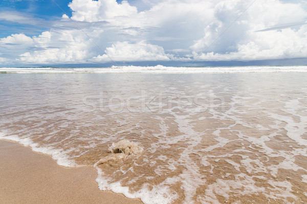 Waves sand beach and clouds sunny day Stock photo © Juhku