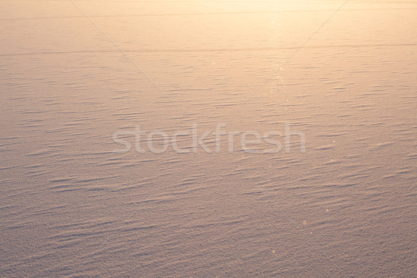 Winter view to frozen lake Stock photo © Juhku