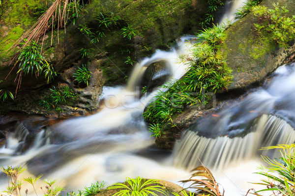 ストックフォト: 小 · 滝 · ジャングル · 公園 · マレーシア · ボルネオ島