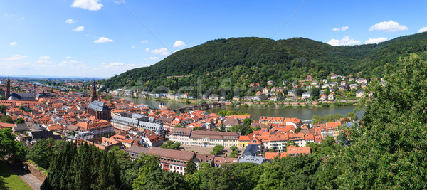 Heidelberg city panorama Stock photo © Juhku