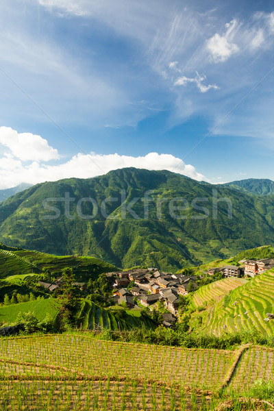 Stock photo: Landscape photo of rice terraces and village in china
