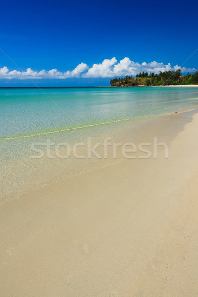 Long sand beach at tip of boreno Stock photo © Juhku
