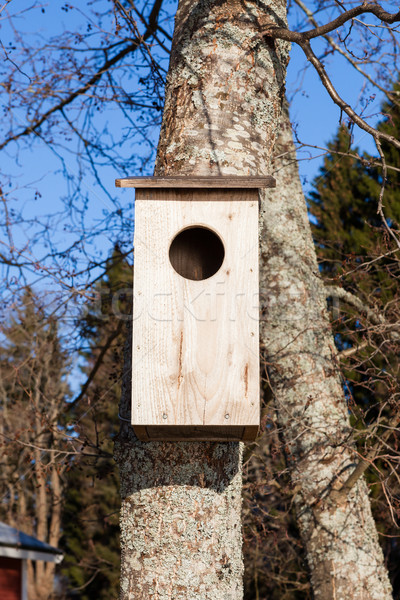 Stock photo: Waterfowl birdhouse on tree