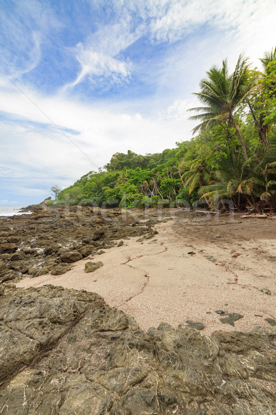 Stockfoto: Strand · bomen · Costa · Rica · bos · achtergrond · oceaan