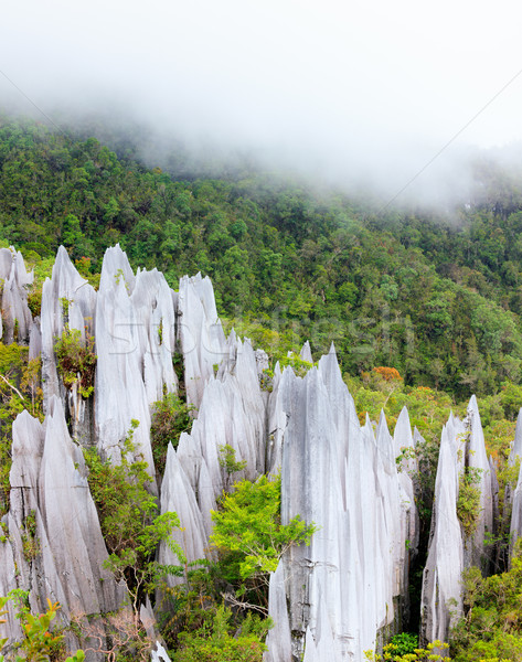 Wapień parku formacja borneo Malezja lasu Zdjęcia stock © Juhku