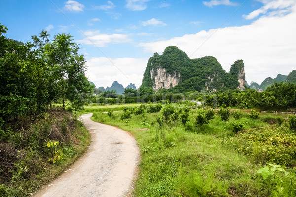 Road leading to limestone mountain in china Stock photo © Juhku