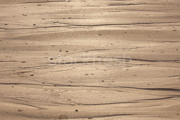 Natural sand patterns in beach Stock photo © Juhku