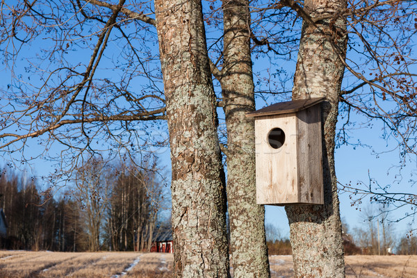 Waterfowl birdhouse on tree Stock photo © Juhku