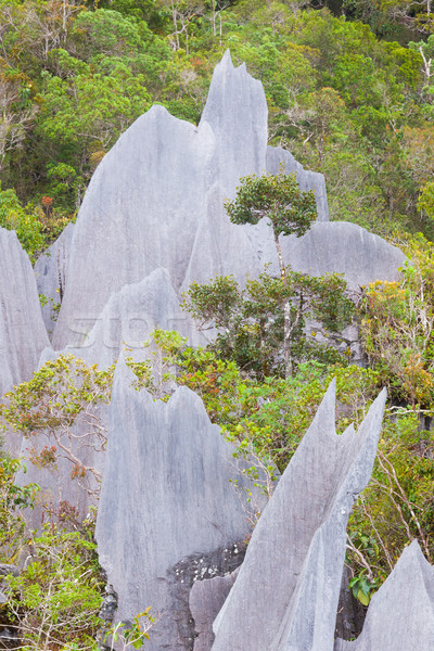 Kalker park oluşum borneo Malezya dağ Stok fotoğraf © Juhku