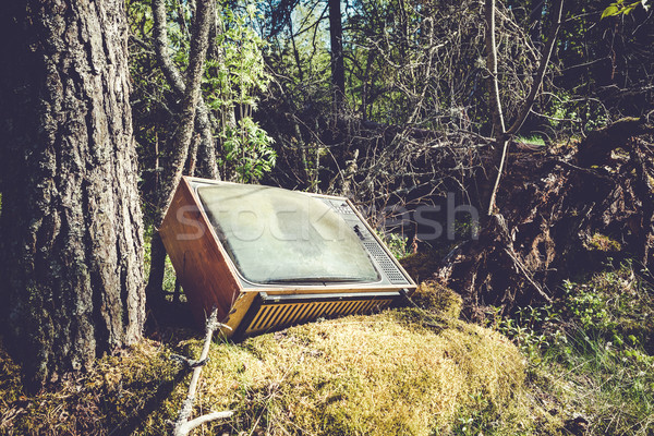Stock photo: Old analog television in forest