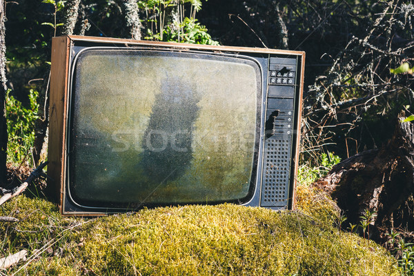 Starych analog telewizji lasu opuszczony trawy Zdjęcia stock © Juhku