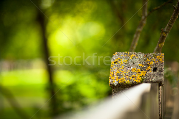 Pierre clôture floue forêt naturelles mur [[stock_photo]] © Juhku