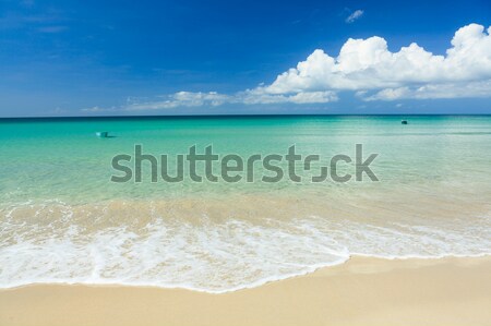 Fisher boat and clear turquoise water Stock photo © Juhku