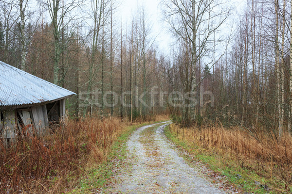Kicsi erdő út Finnország fagyott tájkép Stock fotó © Juhku