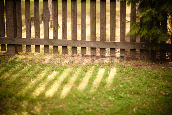 Sun shining through wooden fence Stock photo © Juhku
