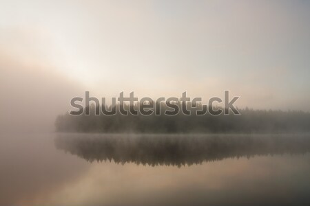 Forest at lakeside at foggy morning Stock photo © Juhku