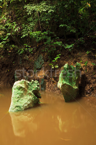 Wenig Dschungel Fluss Borneo schlammigen Wasser Stock foto © Juhku