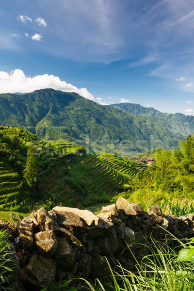 Stock photo: Landscape photo of rice terraces in china