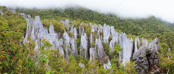 Stockfoto: Kalksteen · park · formatie · borneo · Maleisië · bomen