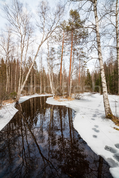 Teilweise eingefroren Wald Fluss Frühling Finnland Stock foto © Juhku
