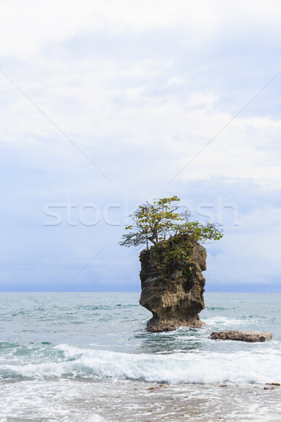Skała Kostaryka plaży Karaibów wybrzeża krajobraz Zdjęcia stock © Juhku