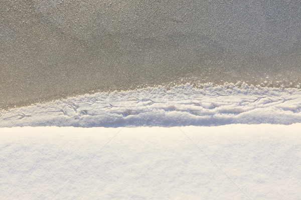 Scenico neve ghiaccio texture uccello Foto d'archivio © Juhku