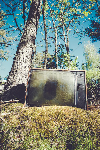 Eski analog televizyon orman terkedilmiş doğa Stok fotoğraf © Juhku
