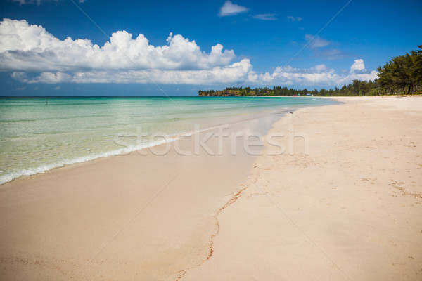 Long sand beach at tip of boreno Stock photo © Juhku