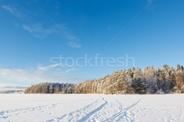 Congelés lac neige couvert forêt ensoleillée [[stock_photo]] © Juhku