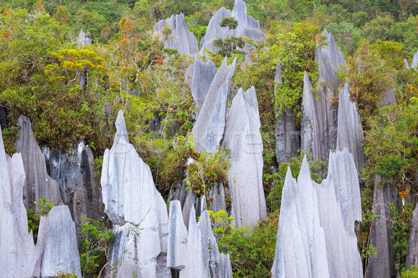 Calcaire parc formation bornéo Malaisie nature [[stock_photo]] © Juhku